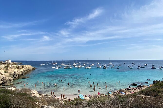 Egadi Shuttle Tour to Favignana and Levanzo from Trapani - Comparing This Tour to Other Options