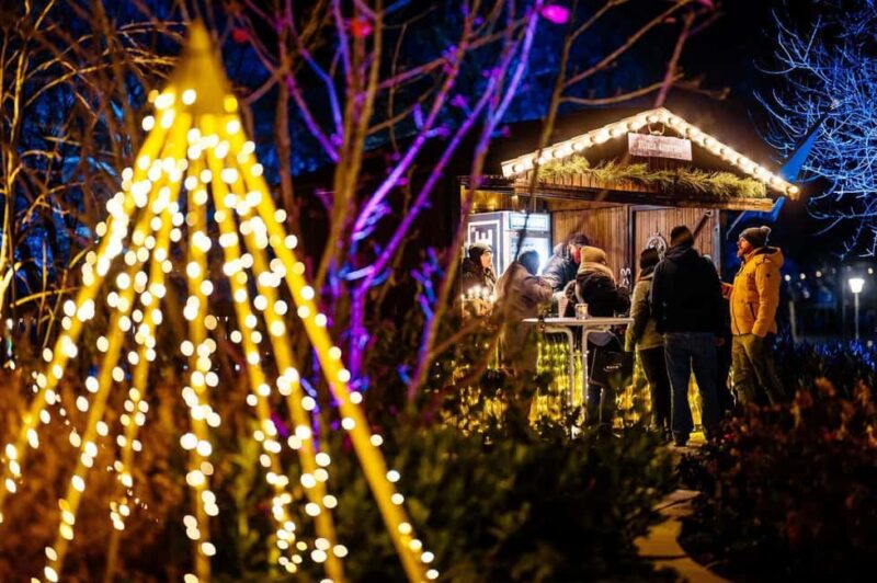 egapark Admission: Winter Lights - Discover the Magic of egaparks Winter Lights in Erfurt