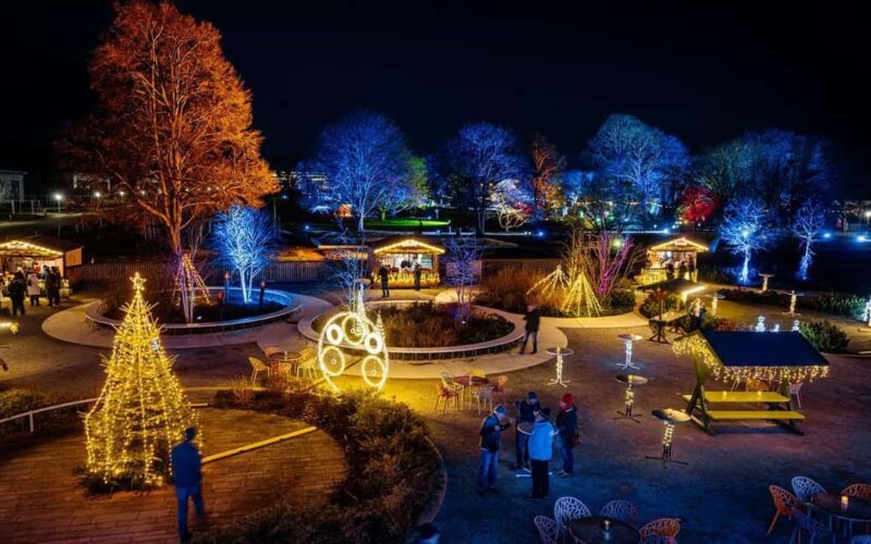 egapark Admission: Winter Lights - The Highlights: Light Sculptures and Video Projections