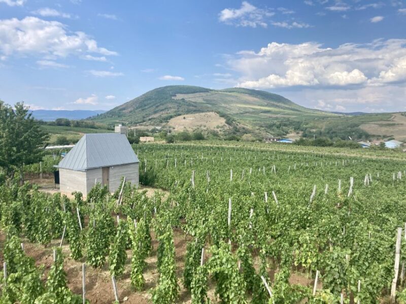 Eger: Countryside, Culture, and Wine Private Tour - Discovering the Turkish Minaret and Ottoman Heritage