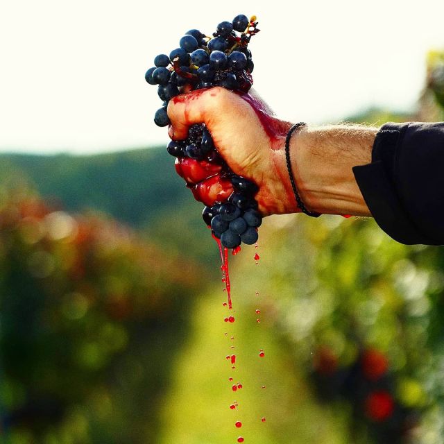 Eger, home to Bull's Bood, a private tour with winetaste - The Turkish Minaret: A Surviving Remnant from the 15th Century