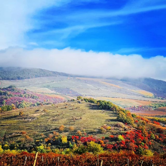 Eger, home to Bull's Bood, a private tour with winetaste - The Experience of the Guided Tour