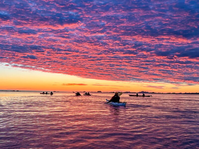 Eggum: Lofoten Islands Midnight Sun Kayak Tour - The Role of the Guides and Group Atmosphere