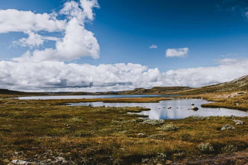 Eidfjord: Shore Excursion with Scenic Adventure - Final Thoughts on the Eidfjord Scenic Tour