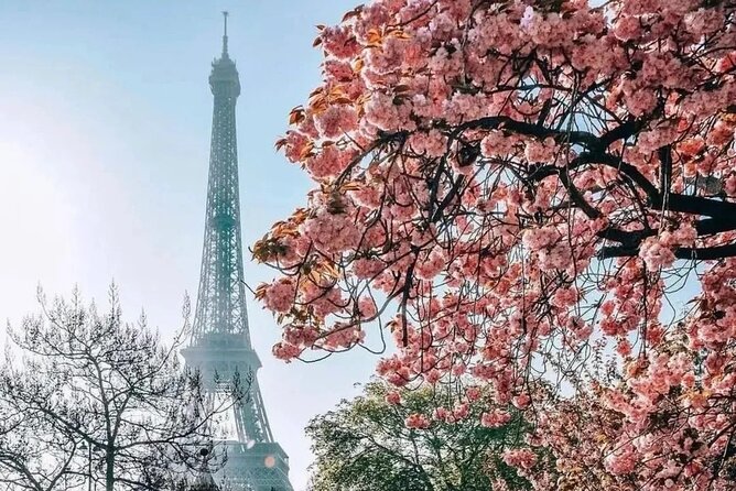 Eiffel Tower Guided Access up to the 2nd Floor or Summit by Lift - Comparing This Tour to Other Eiffel Tower Experiences