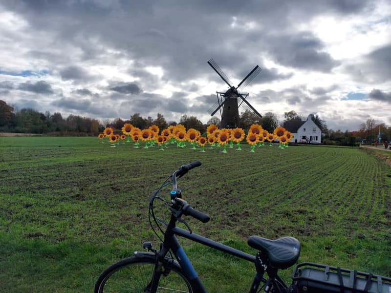 Eindhoven: E-Fatbike Tour The Footsteps Of Vincent van Gogh - Physical Requirements and Accessibility