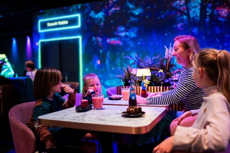 Eindhoven: Motion Experience Light Art Playground Ticket - Accessibility and Family-Friendly Features