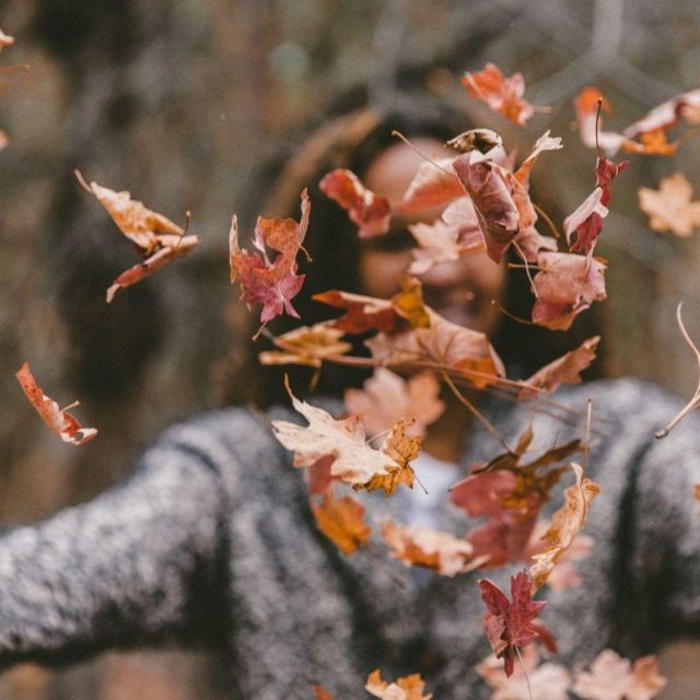 Eindhoven: Self-Guided City Walking Tour - Exploring Eindhoven’s Key Landmarks and Highlights