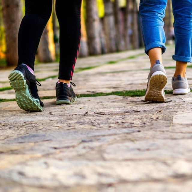 Eindhoven: Self-Guided City Walking Tour - Navigating the Route with the Web App