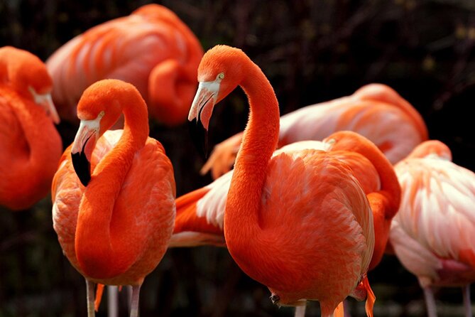 Ek Balam Ruins with Las Coloradas and Rio Lagartos Private Tour - Explore Yucatáns Treasures with a Private Guide and Custom Schedule