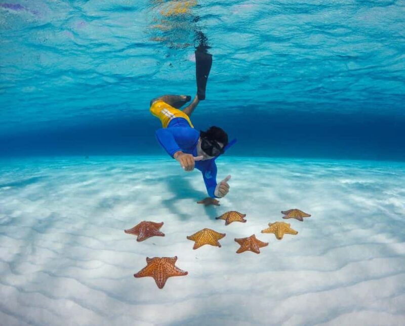 El Cielo and El Cielito Catamaran Tour with Slide and Open Bar - Starting Point and Transportation in Cozumel