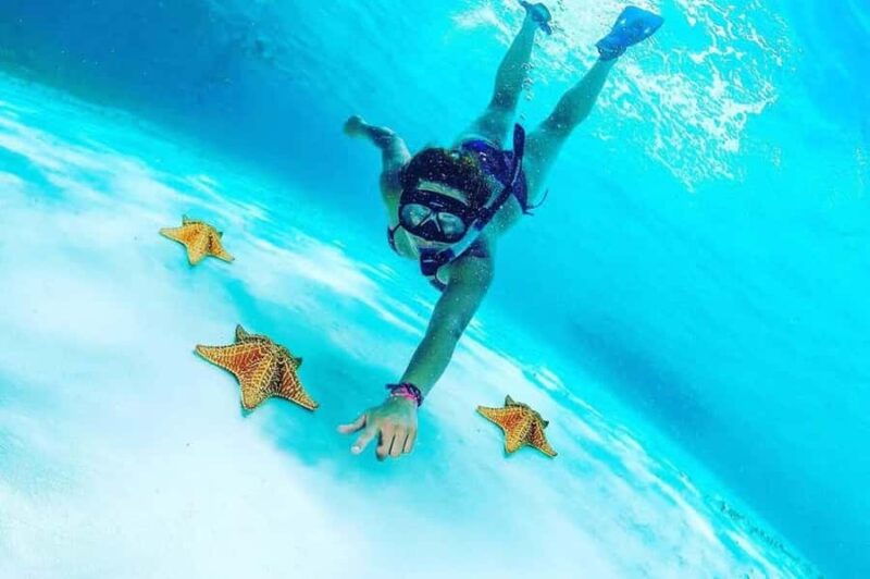 El Cielo and El Cielito Catamaran Tour with Slide and Open Bar - El Cielo: Floating in the Shallow, Starfish-Filled Waters