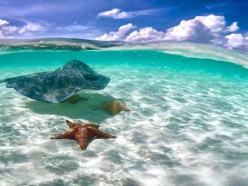 El Cielo and El Cielito Catamaran Tour with Slide and Open Bar - Cools and Calm at El Cielito Beach