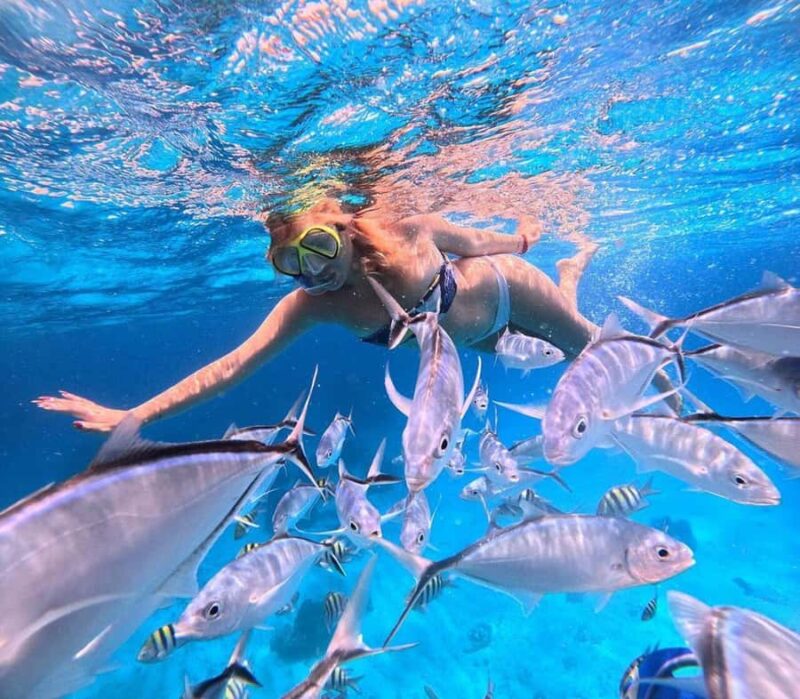 El Cielo and El Cielito Catamaran Tour with Slide and Open Bar - The Fun of the Catamaran with a Built-in Slide