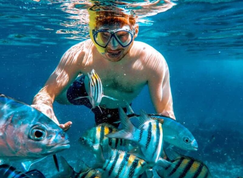 El Cielo and El Cielito Catamaran Tour with Slide and Open Bar - Tour Pacing and Flexibility