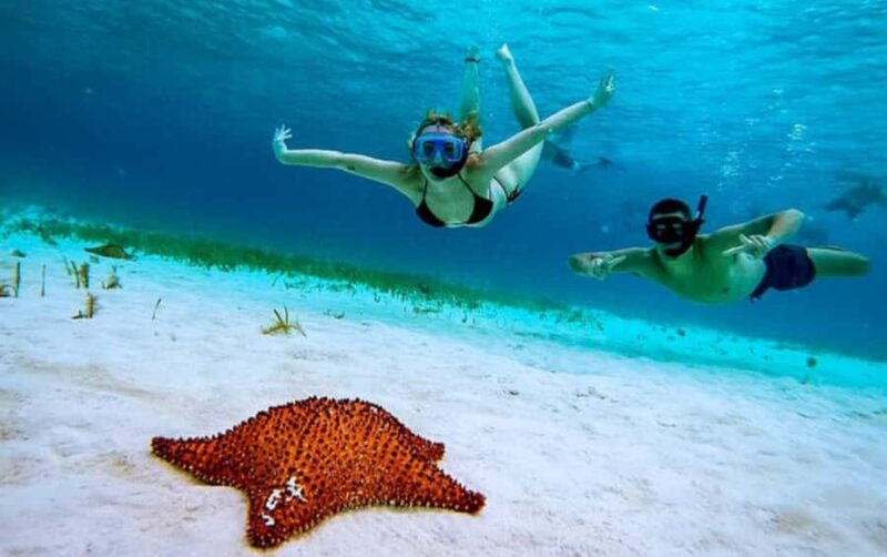 El Cielo and El Cielito Catamaran Tour with Slide and Open Bar - Practical Tips for the Day