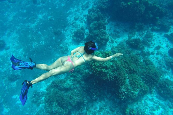 El Cielo and Snorkel Private Excursion - Who Guides You on This Adventure?