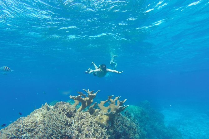 El Cielo and Snorkel Private Excursion - Exclusive Access to Secluded Snorkeling Spots and Beaches