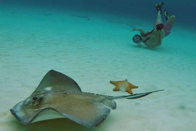 El Cielo Beach Snorkeling Adventure by Catamaran - Starting Point at Marina Cozumel