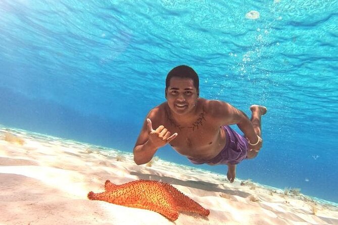 El Cielo Beach Snorkeling Adventure by Catamaran - The Catamaran: Comfort and Safety