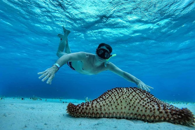 El Cielo Cozumel, a paradisiacal tour. Be amazed by the stars near to you. - Pricing, Inclusions, and Additional Costs