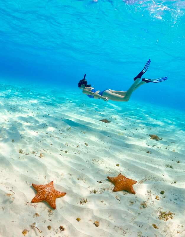 El Cielo Cozumel private snorkel tour - The Private Speedboat Journey