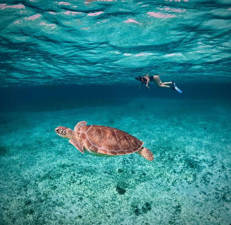 El Cielo Cozumel private snorkel tour - Food and Drinks on the Boat