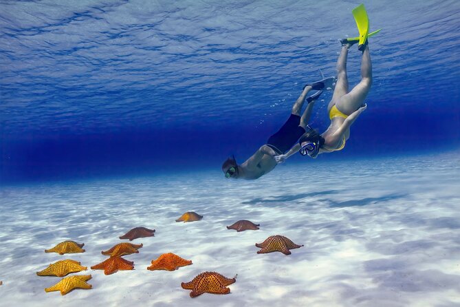 El Cielo Cozumel Snorkel Share Boat + Reefs + Food Drinks + Beach - Snorkeling at Palancar Reef and Colombia Reef