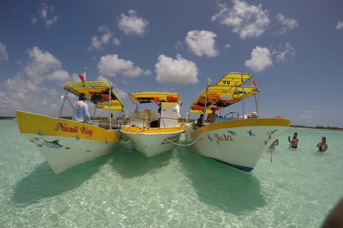 El Cielo Cozumel Snorkeling by Private Boat - Snorkeling at Renowned Reefs and Marine Hotspots
