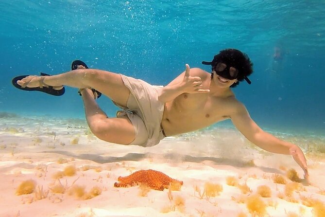 El Cielo Cozumel Snorkeling by Private Boat - Flexibility and Cancellation Policy for Peace of Mind