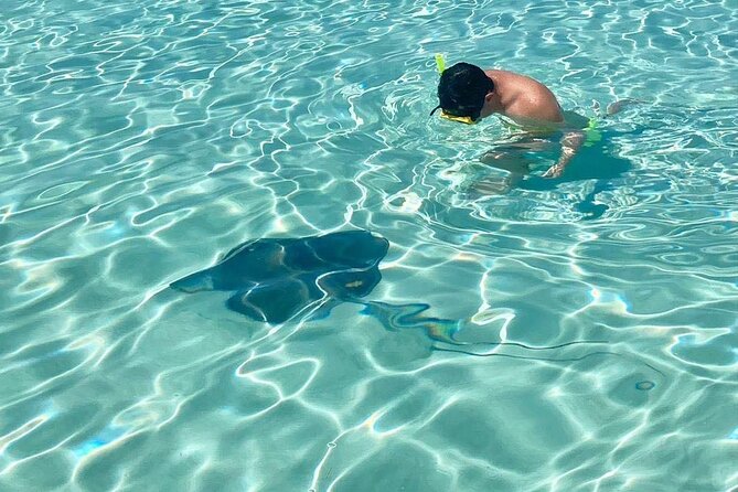 El Cielo Cozumel Snorkeling by Private Boat - Ideal For Families, Small Groups, and Cruise Travelers