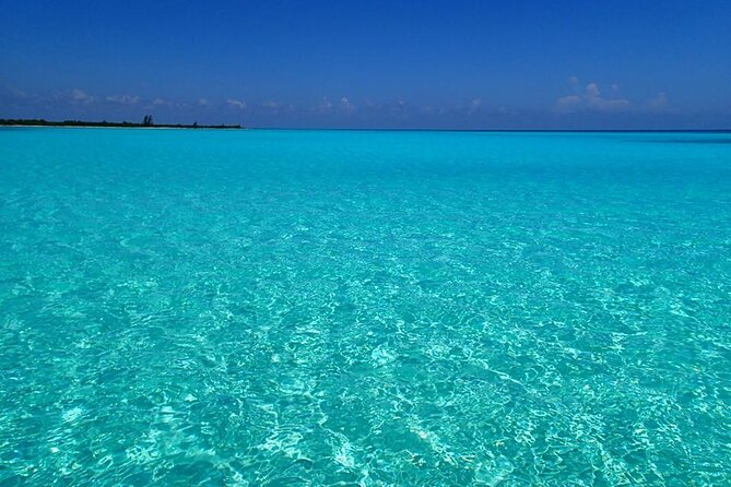 El Cielo Cozumel Snorkeling Tour - All-Inclusive - The Reefs: Palancar and Colombia Reef