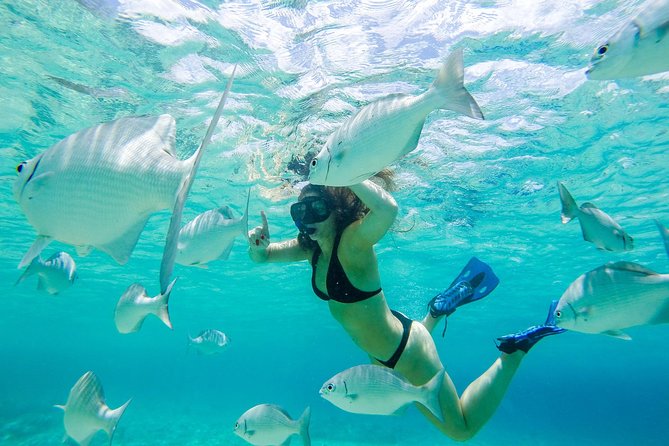 El Cielo Snorkel by Private Boat - Key Points