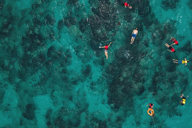 El Cielo the Breathtaking Snorkel Tour of Cozumel Cielito Beach & Lunch Included - Enjoying Drinks and Beach Relaxation at Cielito Beach