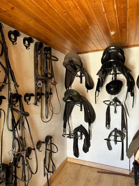 El Cotillo: Sunset Cliff Horseback Ride with Drink - Physical Requirements and Considerations