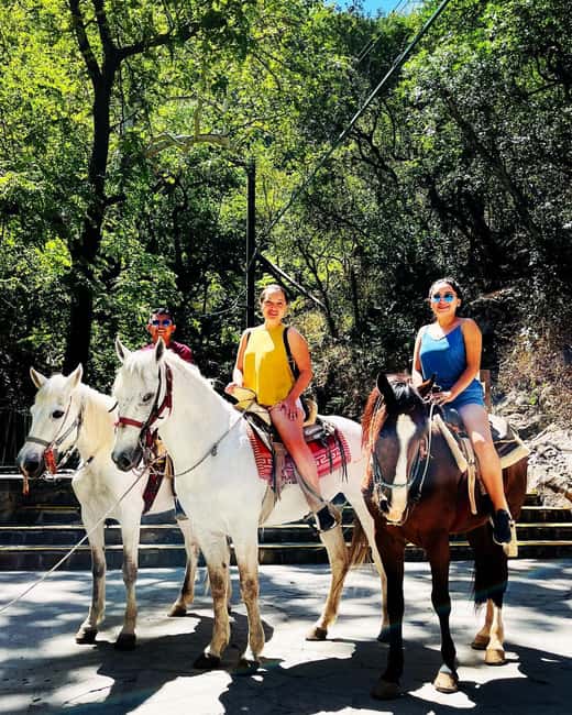 El mejor Tour a Cola de Caballo + Guía + Traslado + Tickets - Optional Activities and Additional Costs at Cola de Caballo Park