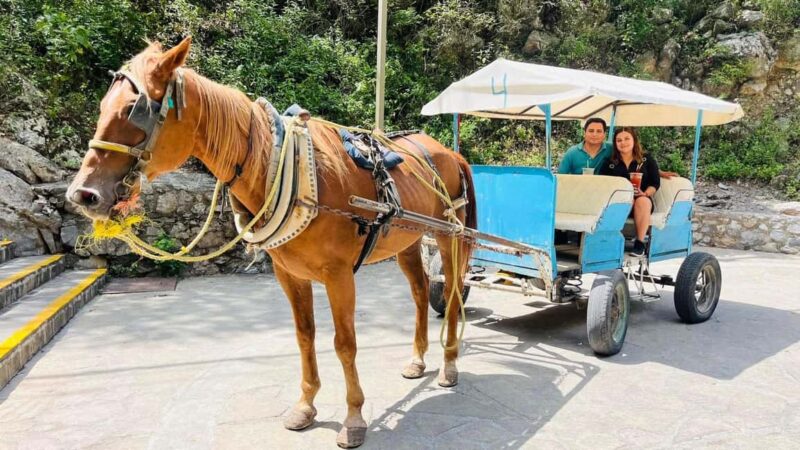 El mejor Tour a Cola de Caballo + Guía + Traslado + Tickets - Why This Tour Offers Good Value for Money