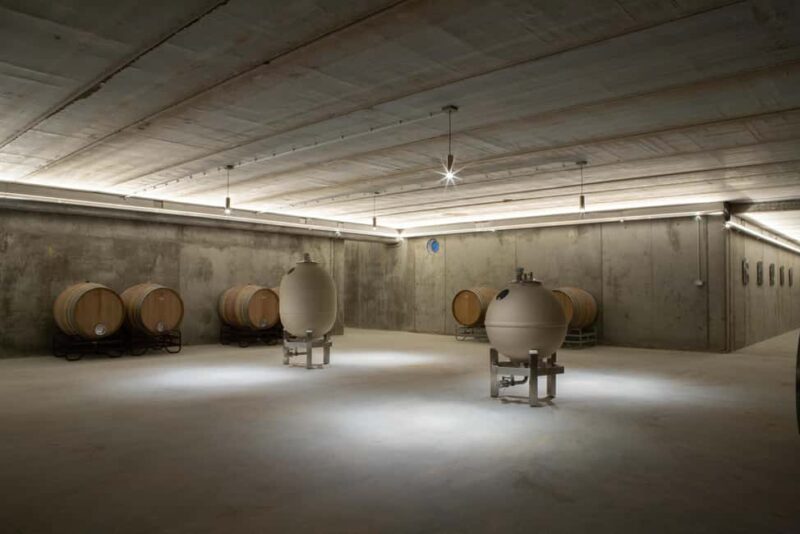 El Pego: Visit and tasting at Bodega Boutique Díscolo - Practical Details and Meeting Arrangements