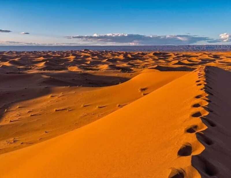 El pinacate: 4-day tour of the craters and Altar desert - The Altar Desert: Vastness and Vegetation