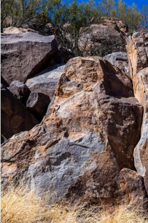 El pinacate: 4-day tour of the craters and Altar desert - Visiting CEDO: Conservation and Education