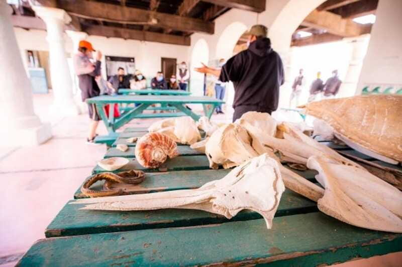 El Pinacate: 5-day tour to the craters and the Altar desert - Limitations and Considerations