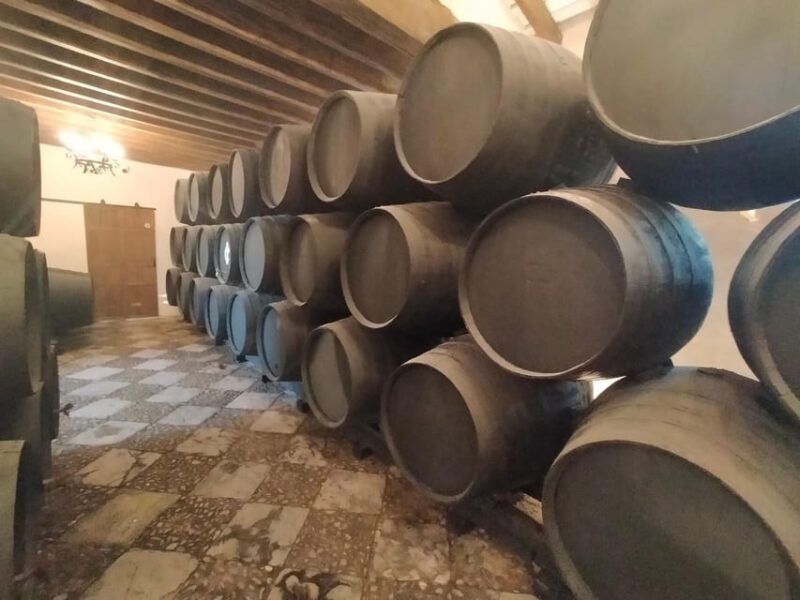 El Puerto de Santa María Winery and Tasting - Exploring the Vineyards of El Puerto de Santa María