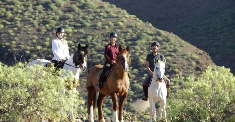 El Salobre: Horse Riding Adventure with Transfer Options - Gran Canaria Horseback Riding Adventure: An Overview