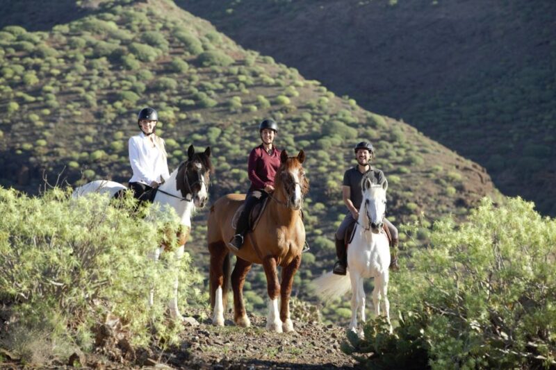 El Salobre: Horse Riding Adventure with Transfer Options - A Scenic View of Maspalomas Dunes from a Hilltop Spot