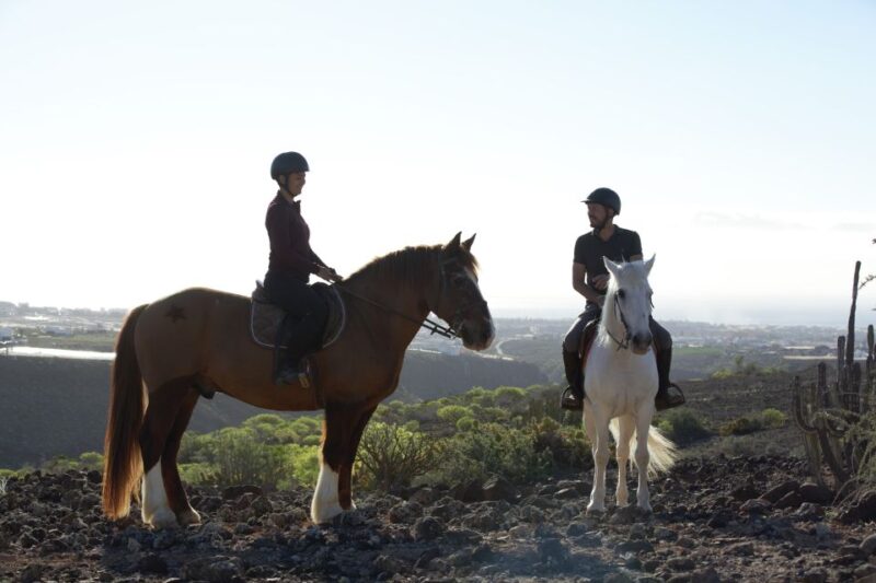 El Salobre: Horse Riding Adventure with Transfer Options - The Experience of the Guides and Horses