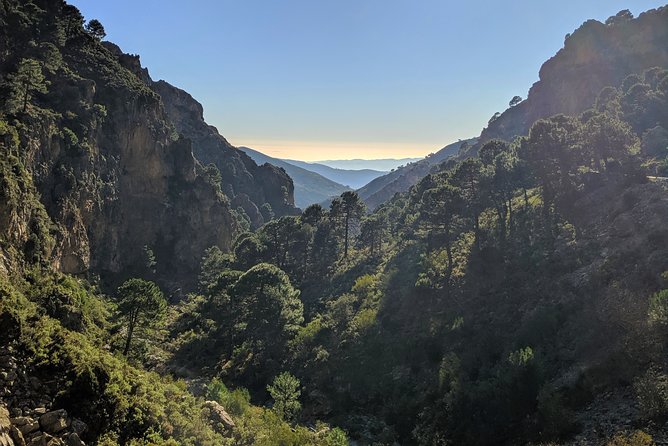 El Saltillo Gorge and White Village Hiking Tour from Malaga - Practical Details: Meeting Points, Group Size, and Cancellation Policy