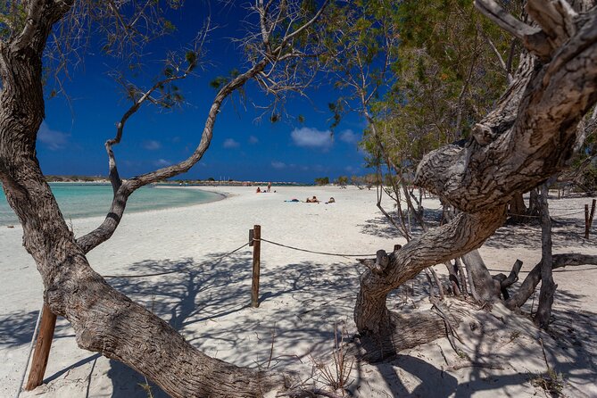 Elafonisi & Milia Mountain - Jeep Tour with Loungers and Lunch - Off-Road Drive into Milia Mountain Retreat