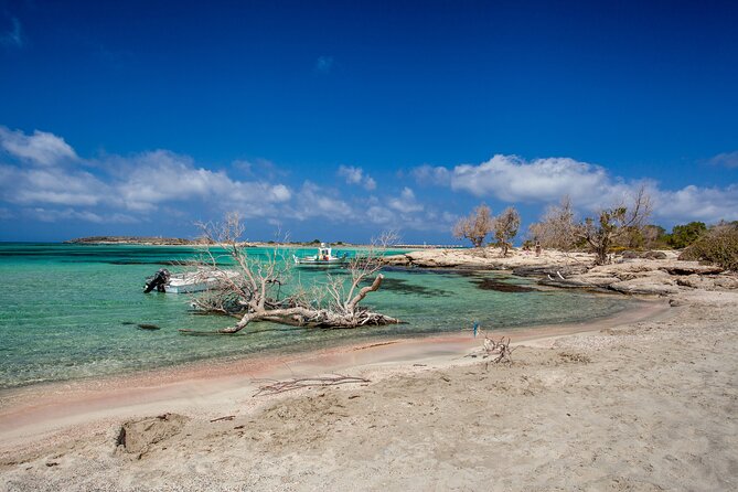 Elafonisi & Milia Mountain - Jeep Tour with Loungers and Lunch - Who This Tour Is Best For
