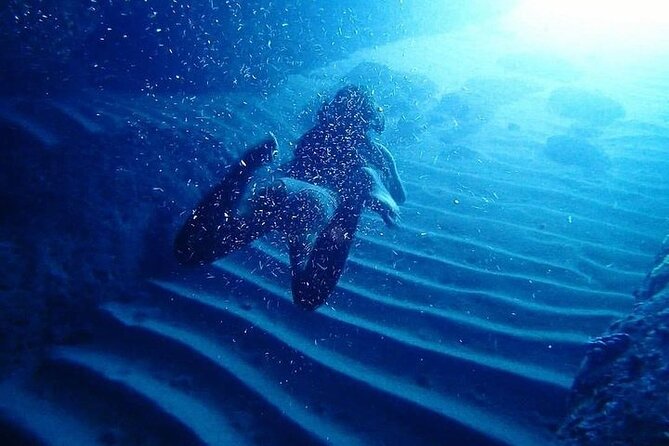 Elaphite Islands - Full-Day Kayaking and Snorkeling tour - Kayaking from Lopud to Sipan and Beyond