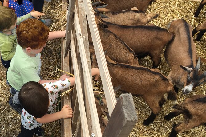 Elba Island Farmhouse tasting experience - The Role of the Family Hosts and Atmosphere